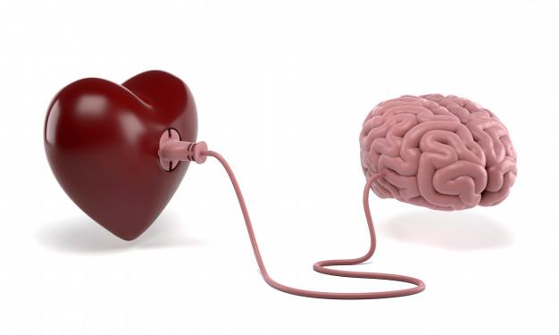 Brote cámara en general Neurobiología del amor: la bioquímica del enamoramiento